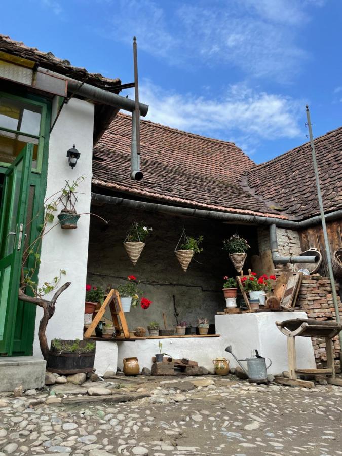 Saschiz 175 Guesthouse Bagian luar foto