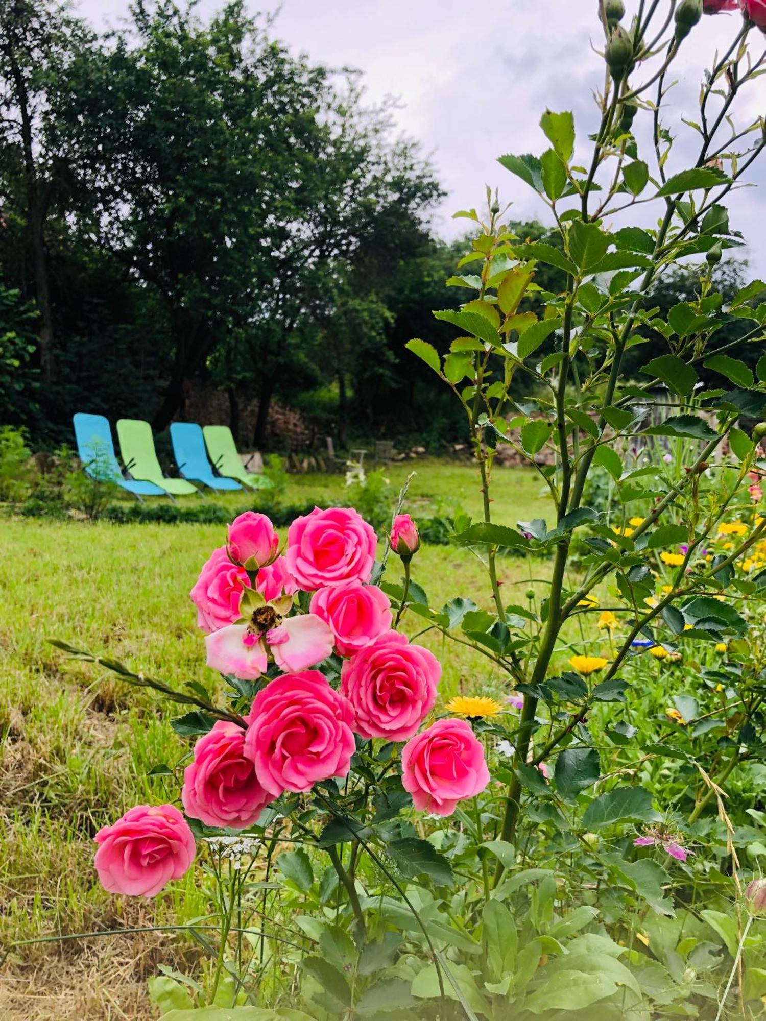 Saschiz 175 Guesthouse Bagian luar foto