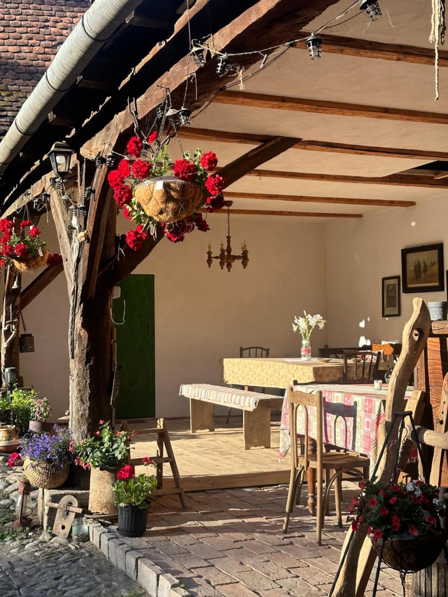 Saschiz 175 Guesthouse Bagian luar foto